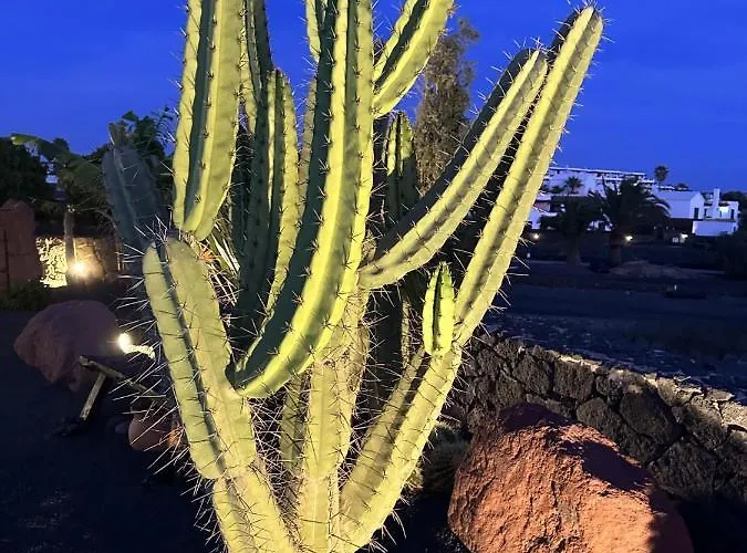 Patos 普拉亚布兰卡